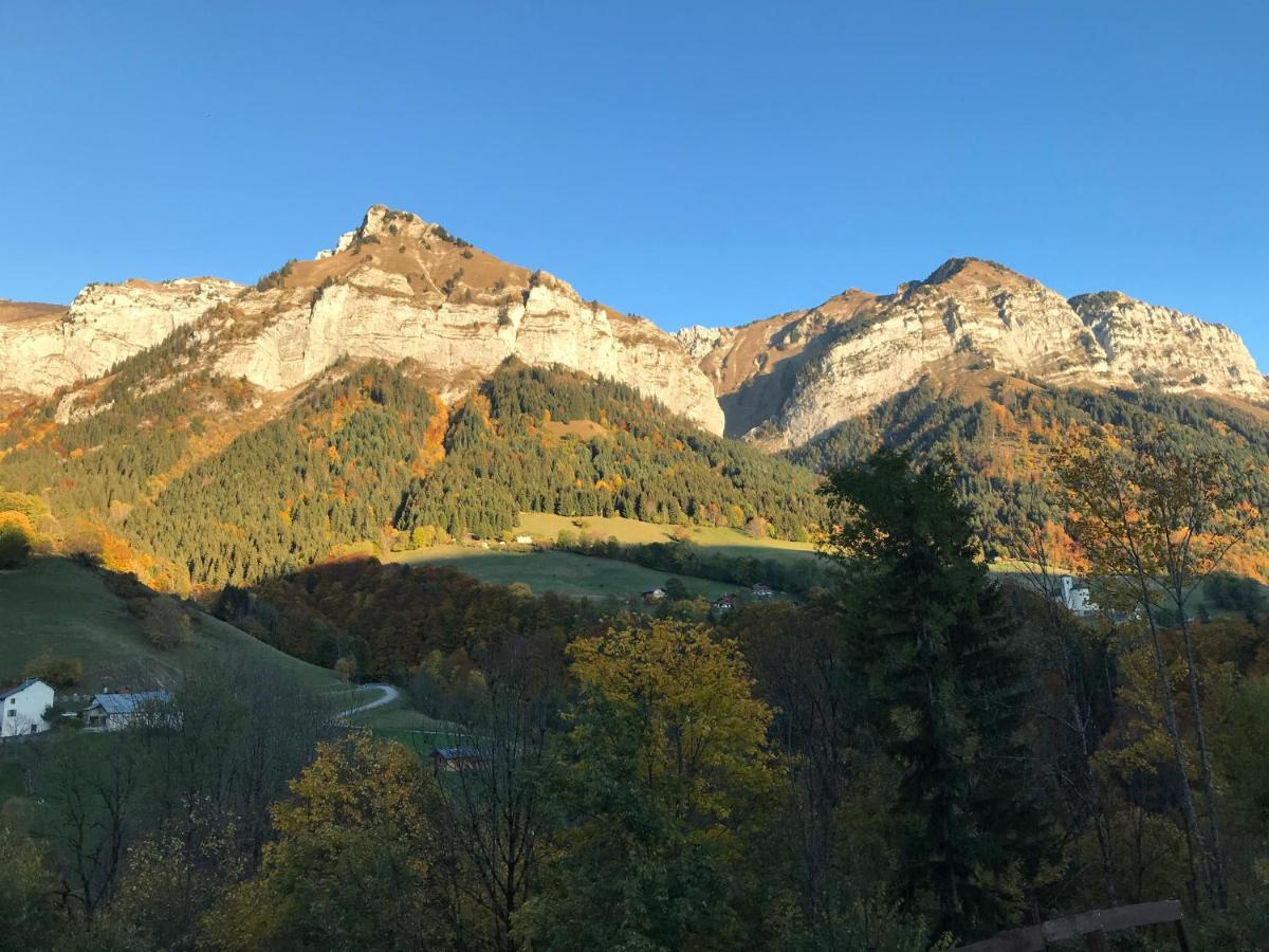 Magnifique T3 Entre Lac Et Montagne Pres D'Annecy Montmin Buitenkant foto