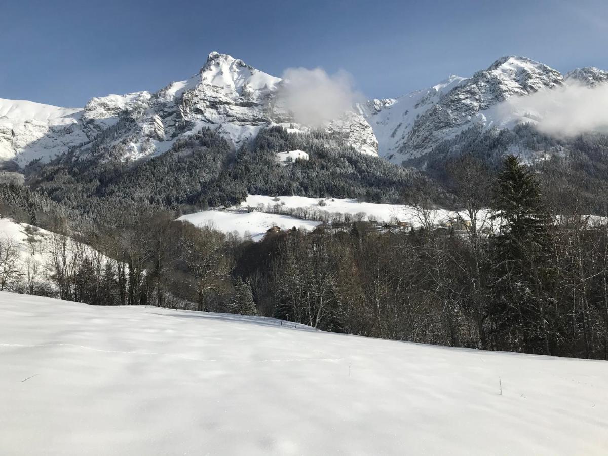 Magnifique T3 Entre Lac Et Montagne Pres D'Annecy Montmin Buitenkant foto