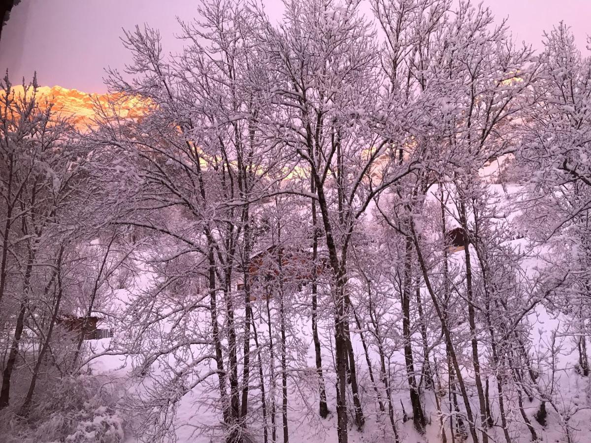 Magnifique T3 Entre Lac Et Montagne Pres D'Annecy Montmin Buitenkant foto